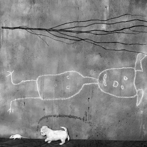 Ein kleiner, weißer Welpe steht vor einer Wand mit einer Kreidezeichnung und einem Zweig, während eine Maus zusieht.