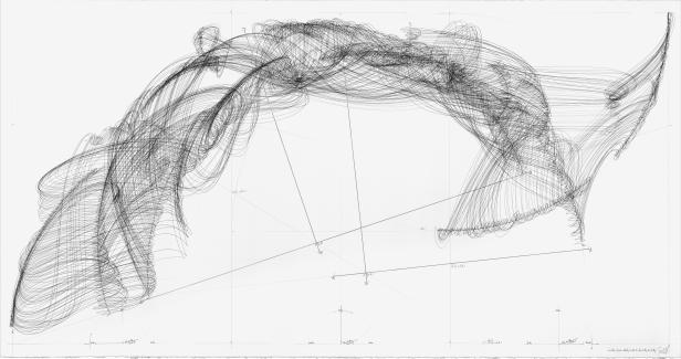 Das erotische Leben der Diagramme