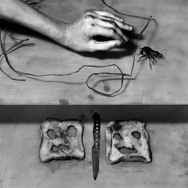 Eine Hand, ein Käfer, zwei Toastscheiben mit Gesichtern und ein Messer in einer Schwarzweißkomposition.