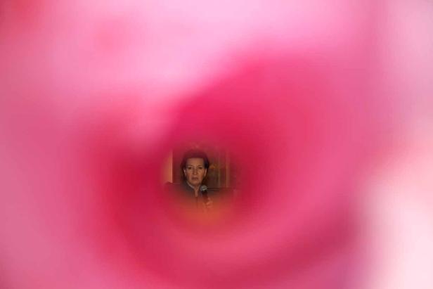 Eine Frau spricht in ein Mikrofon, gesehen durch eine rosa Blüte.