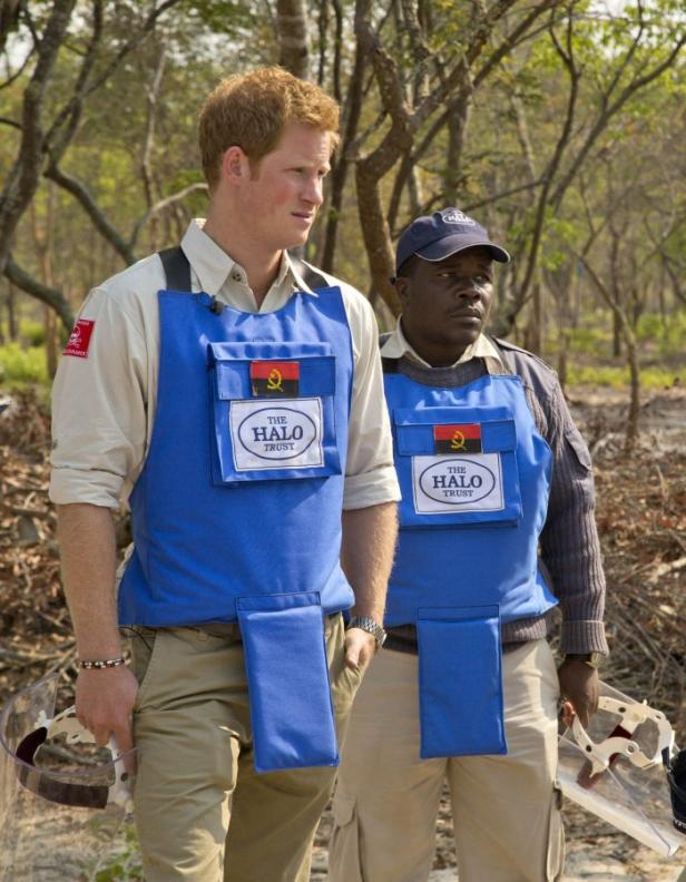 Kate und William mit Baby George und Hund