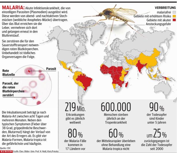 Malaria: Bei Fieber niemals zuwarten