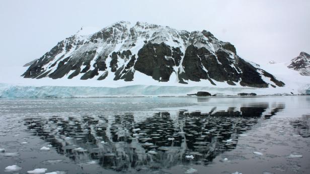 Vor Antarktis entsteht größte Meeresschutzzone der Welt
