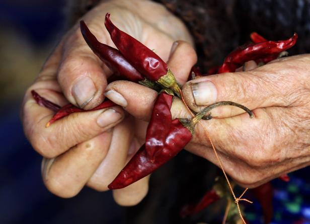 Chilis: Scharfe Schoten zum Schwitzen