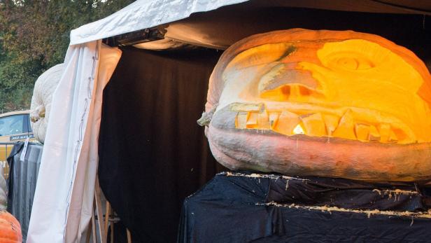 Weltrekord-Kürbis leuchtet mit Halloween-Gesicht