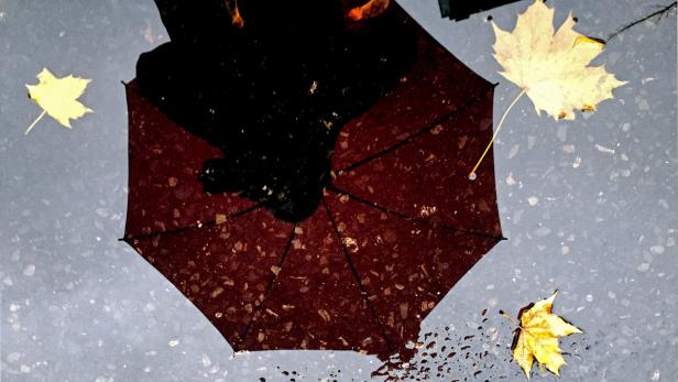 Ein geöffneter Regenschirm liegt auf nassem Asphalt, umgeben von Herbstlaub.