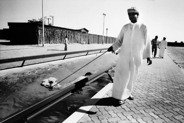 Ein Mann in traditioneller Kleidung führt einen Hund, der in einem Bewässerungskanal schwimmt.