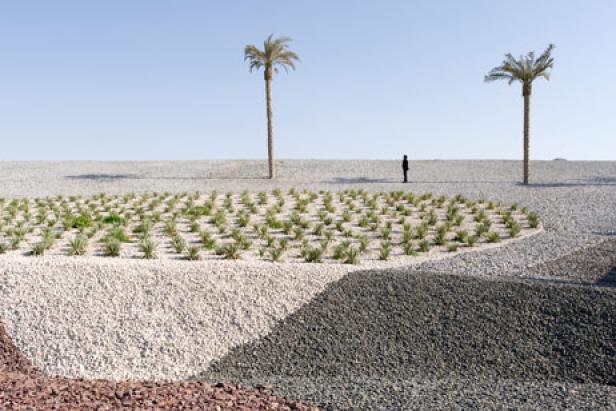 Eine Person steht zwischen zwei Palmen in einer mit Kieseln und Pflanzen gestalteten Landschaft.