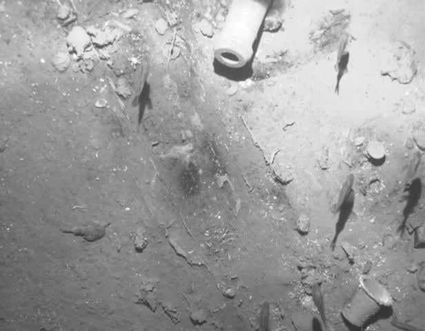 Fische schwimmen über den verschmutzten Meeresboden mit Trümmern und Rohren.