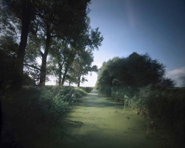 Ein von Bäumen gesäumter, mit Algen bedeckter Wasserweg unter blauem Himmel.