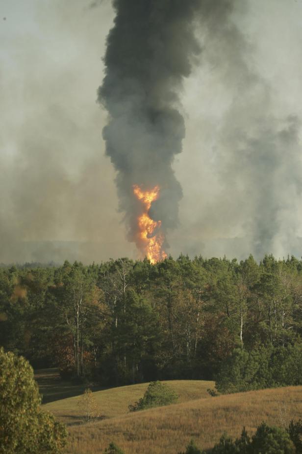 Ein Waldbrand erzeugt eine hohe Rauchsäule.