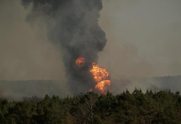 Ein Waldbrand erzeugt eine riesige Rauchsäule und Flammen.