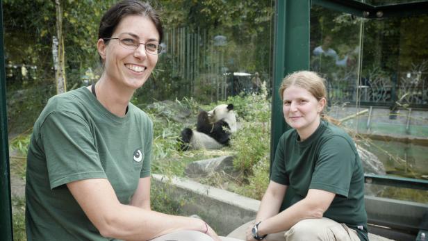 Wiener Pandas entzücken Chinesen