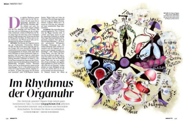 Eine grafische Darstellung der Organuhr mit verschiedenen Organen und Emotionen.