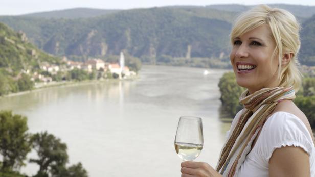 Weinfrühling an der Donau in Niederösterreich