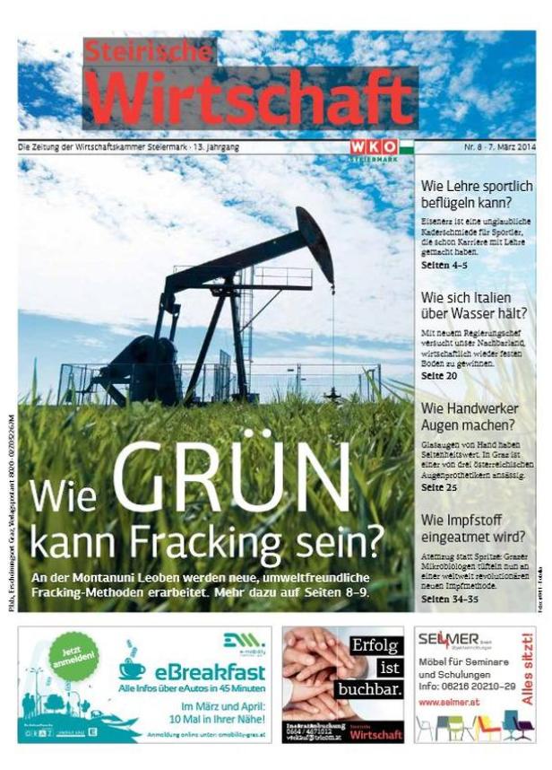 SteirischeWirtschaft1WKZeitung.JPG