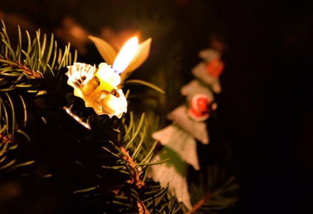 THEMENBILD: WEIHNACHTEN / CHRISTBAUM