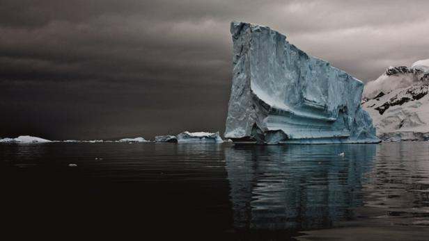 Bilder aus der Polarwelt