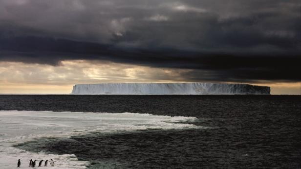 Bilder aus der Polarwelt