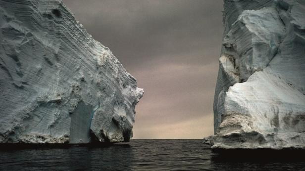 Bilder aus der Polarwelt