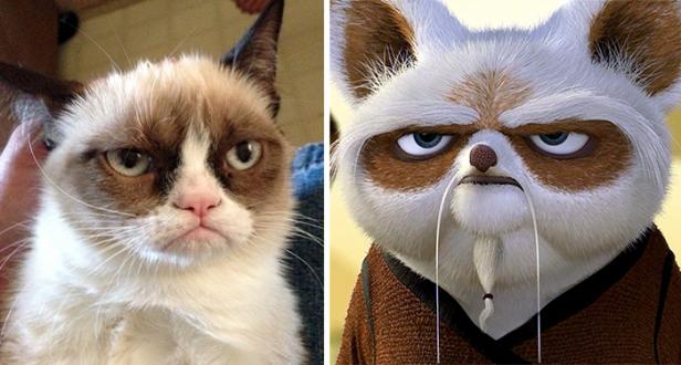 Ein Vergleich zwischen Grumpy Cat und Meister Shifu aus „Kung Fu Panda“.
