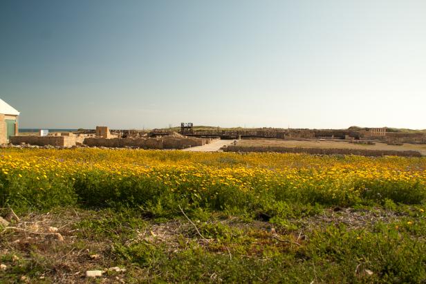 Zypern wird im Kulturjahr zur Freiluftfabrik