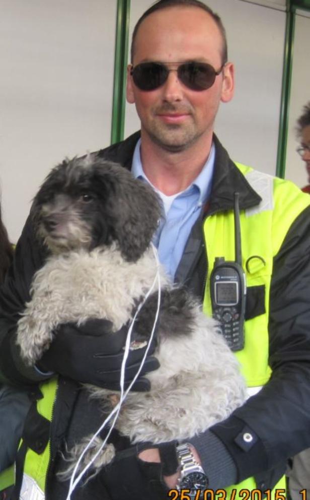 Ein Mann mit Sonnenbrille hält einen kleinen, lockigen Hund im Arm.