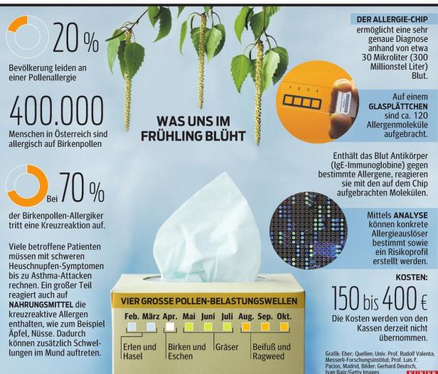 Allergie: Neuer Chip-Test zur Diagnose