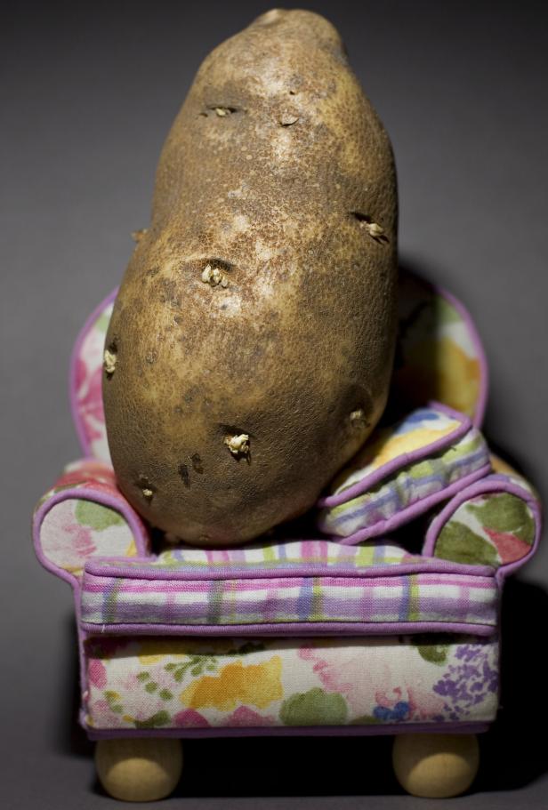 Eine große Kartoffel sitzt auf einem kleinen, blumigen Sessel.