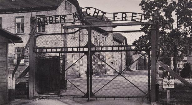 Auschwitz: Namen von 8500 SS-Männern veröffentlicht