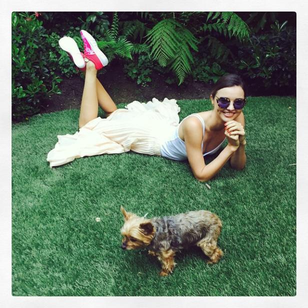 Eine Frau liegt mit Sonnenbrille und Kleid auf einer Wiese, neben ihr ein kleiner Hund.