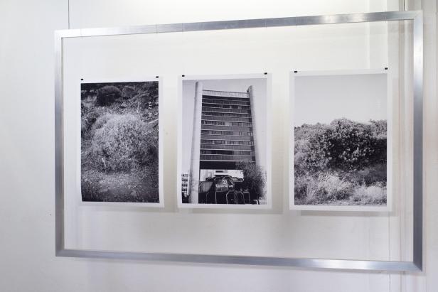 Drei Schwarzweißfotografien hängen in einem silbernen Rahmen an einer weißen Wand.