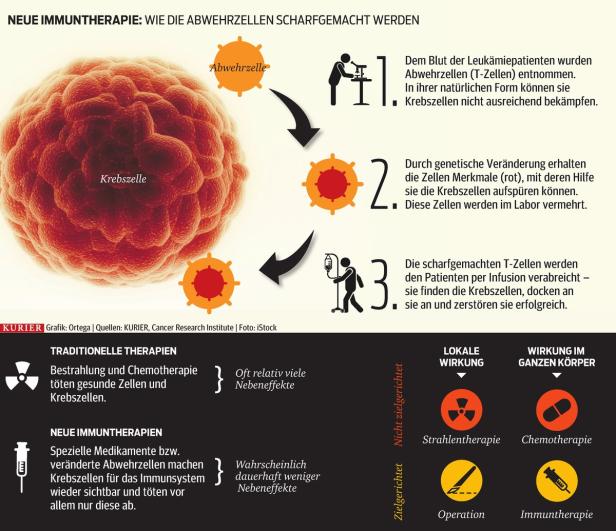Neue Krebstherapie verblüfft Forscher