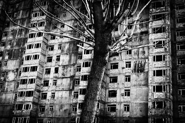 Ein Baum steht vor einem verlassenen, mehrstöckigen Gebäude.
