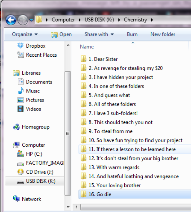 Ein Screenshot eines Windows-Datei-Explorers, der den Inhalt eines USB-Sticks mit Ordnern und provokativen Namen zeigt.