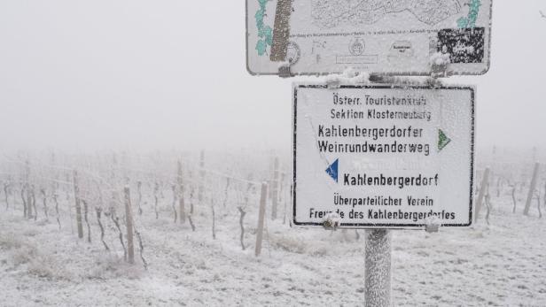 Ö: Warmfront beendet die große Kälte