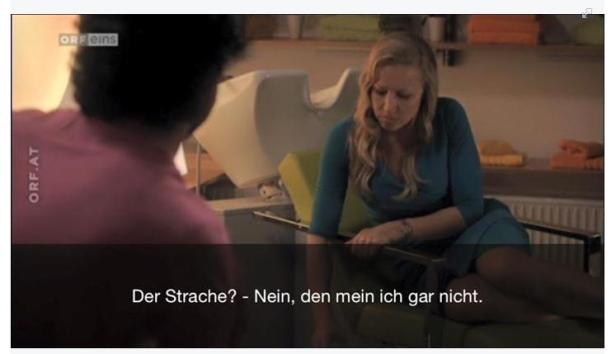 "Schwul", "H****sohn": Strache klagt ORF und Nazar