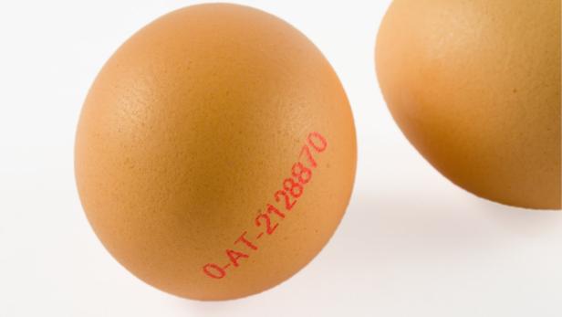 Eier doch keine Cholesterinbombe