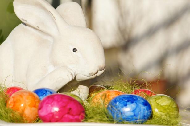 Ihr Name ist Hase: Legendäre Langohren