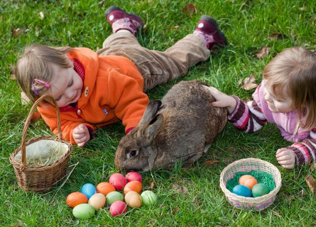 Ihr Name ist Hase: Legendäre Langohren