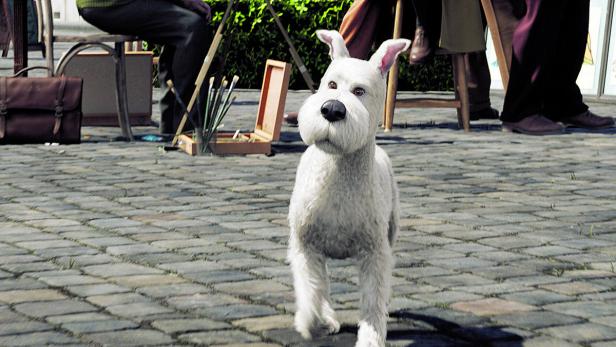 Struppi, der weiße Foxterrier, steht auf einem gepflasterten Platz.