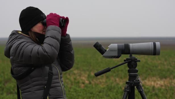 Eine Frau beobachtet mit einem Fernglas und einem Spektiv die Landschaft.