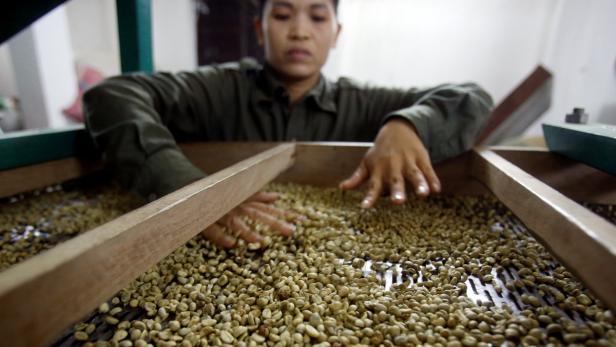 Kaffee wird teurer: mehr Nachfrage, weniger Flächen