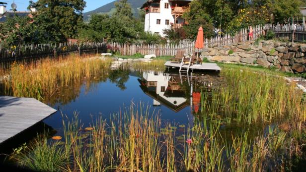 Ein naturnaher Schwimmteich mit Steg und Liegestühlen vor einem Wohnhaus.
