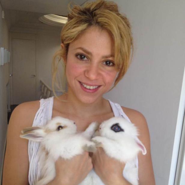 Shakira hält zwei weiße Kaninchen im Arm.