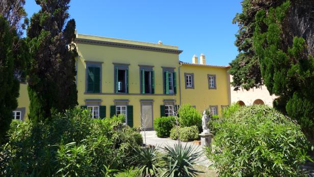 Ein gelbes Gebäude mit grünen Fensterläden und üppigem Grün im Vordergrund.