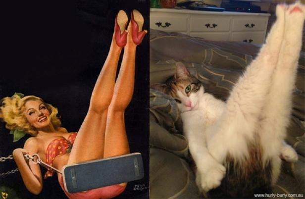 Ein Vergleich: Ein Pin-up-Girl auf einer Schaukel und eine Katze, die auf dem Rücken liegt und die Beine hochstreckt.