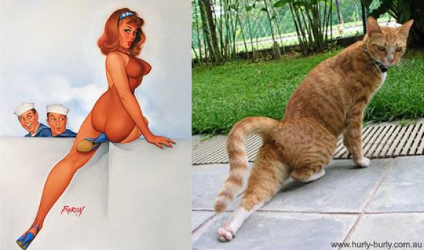 Ein Pin-up-Girl-Gemälde und eine orangefarbene Katze stehen nebeneinander.