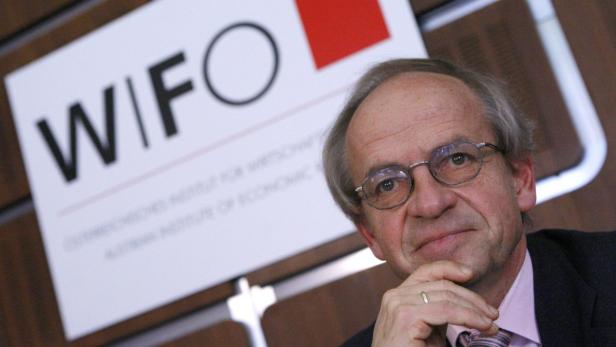 REUTERSHead of Austrias main economic research institutes, Austrian Institute of Economic Research (WIFO) Karl Aiginger, attends a news conference in Vienna April 1, 2011. (AUSTRIA - Tags: POLITICS BUSINESS HEADSHOT)
