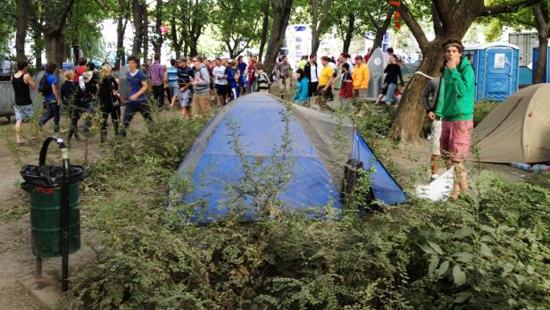 Sziget 2012: Das "bessere" Donauinselfest